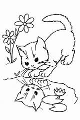 Gattino Gattini Kitten sketch template