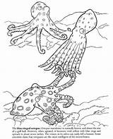 Octopus Ringed Barrier Reef Designlooter sketch template