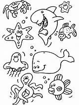 Kleurplaten Zeedieren Dieren Malvorlagen Meereswelt Onderwaterwereld Zee Vissen Oceaan Haai Unterwassertiere Animaux Strand Ozean Grappig Aquarium Hewan Mewarnai Binatang Coloriages sketch template