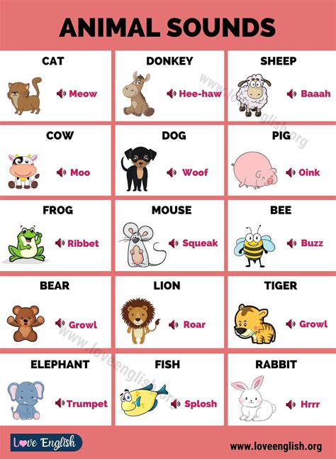 animal sounds interesting list  animal sounds  kids love