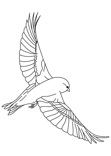 canary bird perched  tree coloring pages  place  color