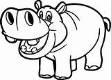 Hippo Drawing Clipart Clipartmag Draw sketch template