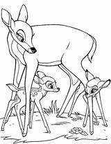 Bambi Pages Coloring Disney Faline Mother Family Books Legs Under Play Choose Board Drawings Horse sketch template