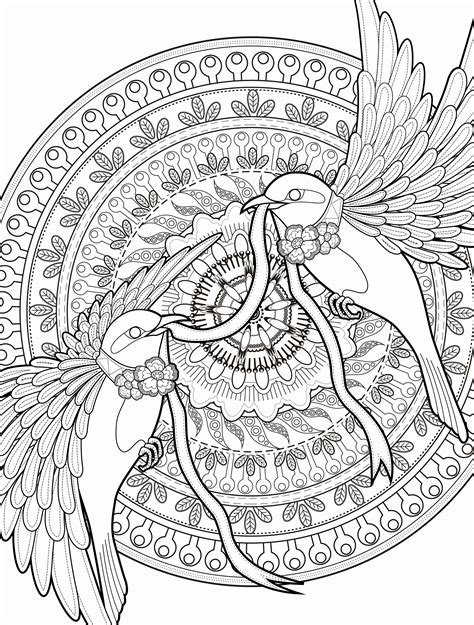 adult coloring pages   getdrawings