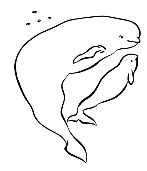 arctic animals coloring pages  coloring pages  kids animal