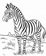 Coloring Zebra Pages Animals African Print Zebras Topcoloringpages Smiled Book Wild sketch template