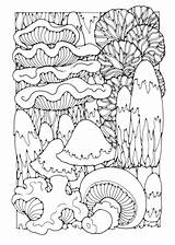 Coloring Mushrooms Printable Pages sketch template