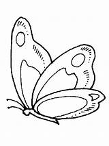 Farfalla Farfalle Leptir Rama Bojanke Leptira Animali Crtanje Mewarna Nazad Kanak sketch template
