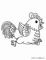Coloring Rooster Pages Kids Getcolorings sketch template