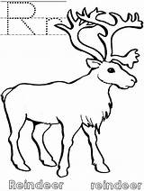 Reindeer Atozkidsstuff Rr Letter Color Stuff sketch template