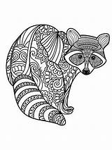 Raccoon Zentangle Mycoloring sketch template
