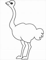 Ostrich Coloringbay sketch template