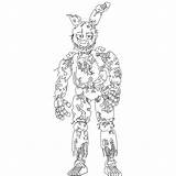 Springtrap Nights Ignited Chica Páginas Withered Amazing Fazbear Fnaf3 sketch template