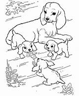 Coloring Animals Pages Babies Their Baby Mother Animal Kids Printable Playing Print Puppies Dog Farm Getcolorings Color Dogs Cute Getdrawings sketch template