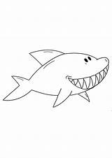 Coloring Shark Sharks Jaws sketch template