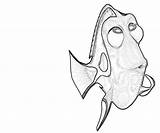 Dory Fish Coloring Pages Printable Another sketch template