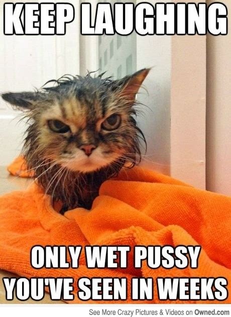 Wet Pussy Album On Imgur