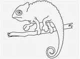 Camaleones Chachipedia sketch template
