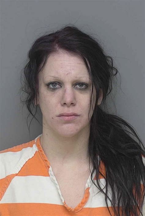 whmi 93 5 local news hamburg woman sentenced for police chase