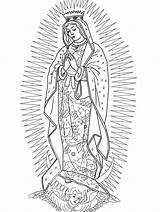 Guadalupe Nossa Senhora Colorir Colorare Madonna Fatima Colouring Lourdes Nostra Signora Erwachsene Malvorlagen Ies Colorironline Incantevole Immagini Pastorale Materiale Qumran sketch template
