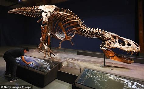 trix the tyrannosaurus rex arrives in the holland daily mail online