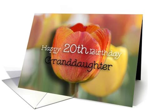 happy  birthday granddaughter orange  yellow tulips card