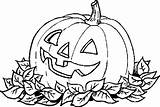 Coloring Halloween Pumpkin Pages Drawing Scary Disegni Line Leaves Carving Grandi Per Jack Coloring4free Great Print Drawings Plant Color Printable sketch template
