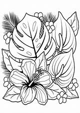 Coloring Pages Adult Flowers Adults sketch template