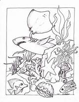 Animals Coloring Pages Water Getdrawings Ocean sketch template