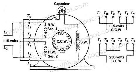 dual voltage motor wiring diagram  phase
