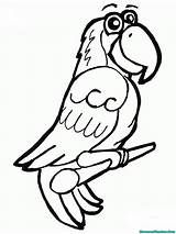 Burung Mewarnai Diwarnai Beo Kakak Tua Lembar Betet Gudang Kenari Warna Devia Terlengkap Anak sketch template