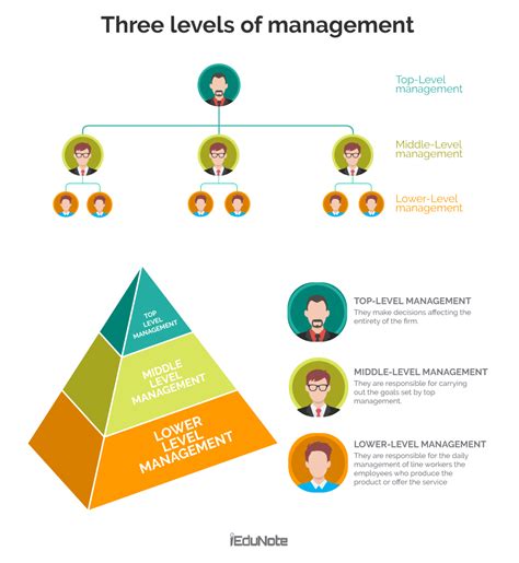 levels  management  organizational hierarchy