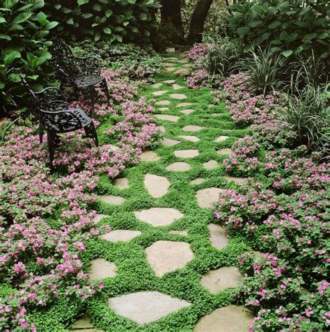 ground covers       landscaping