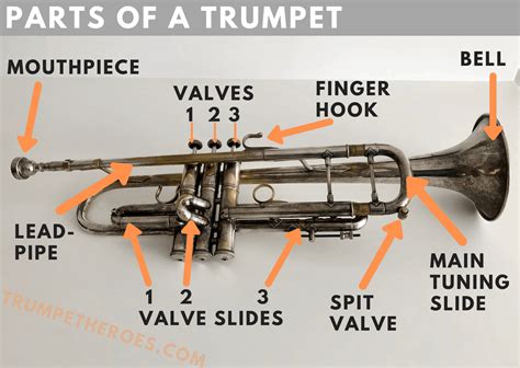 parts   trumpet  ultimate guide  trumpet parts trumpet heroes