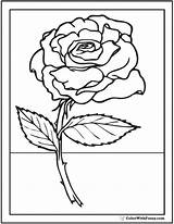 Rose Coloring Pages Stem Drawing Roses Pdf Kids Long Printable Beautiful Sheet Template Printables Getdrawings Customize Skull Drawings 52kb 762px sketch template