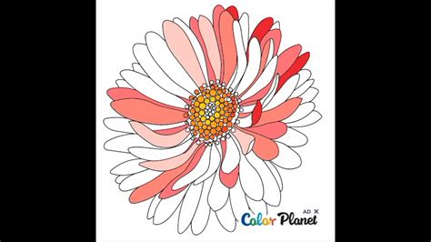 flower coloring youtube