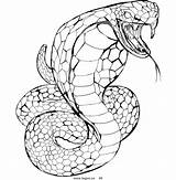 Snake Cobra Coloring Pages King Ninjago Rattlesnake Logo Head Clipart Animals Venomous Drawing Royalty Draw Printable Color Stock Viper Rattle sketch template