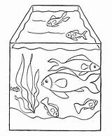 Coloring Fish Tank Print sketch template