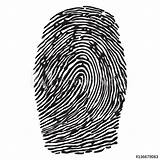 Fingerprint sketch template