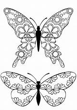 Coloring Pages Butterfly Printable Butterflies Adults Templates Adult Childhood Relive Buzzle Colouring Template Color Book Sheets Kids Drawing Group Grown sketch template