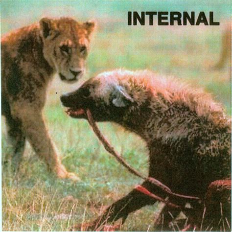 internal internal releases reviews credits discogs