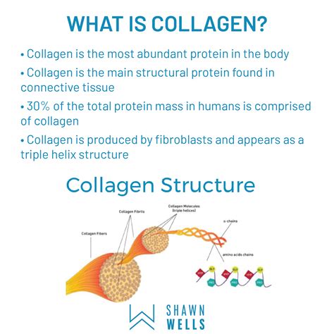 health benefits  collagen shawn wells