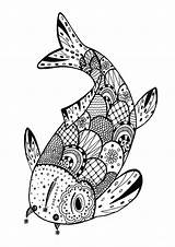 Zentangle Fish Coloring Rachel Adults Very Beautiful Pages Adult sketch template