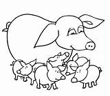 Pig Coloring Pages Pigs Baby Outline Mother Guinea Printable Color Colouring Piglet Realistic Pooh Winnie Drawing Clipart Pot Cute Kids sketch template
