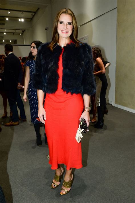 brooke shields party pics october 10 2014 the cut