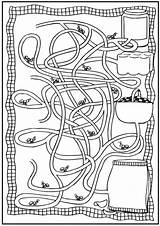 Maze Ants Mazes Fourmis 99worksheets sketch template