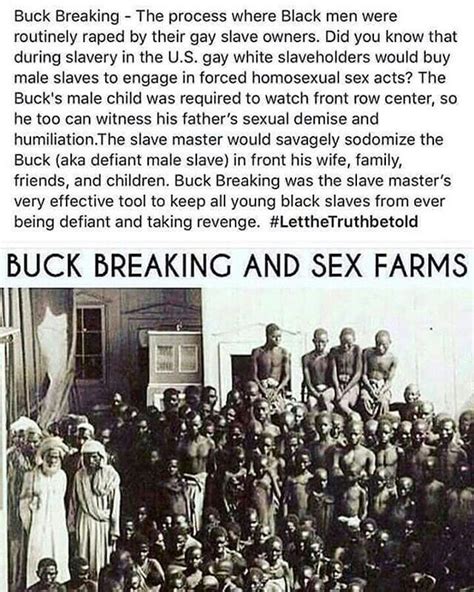 buck breaking and sex farms letthetruthbetold slavery