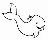 Whale Sperm sketch template