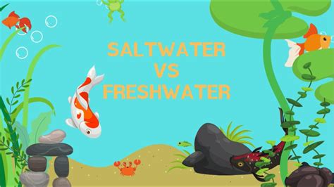 saltwater animals  freshwater animals youtube