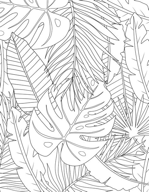 tropical leaves coloring page audrey chenal leaf drawing wall